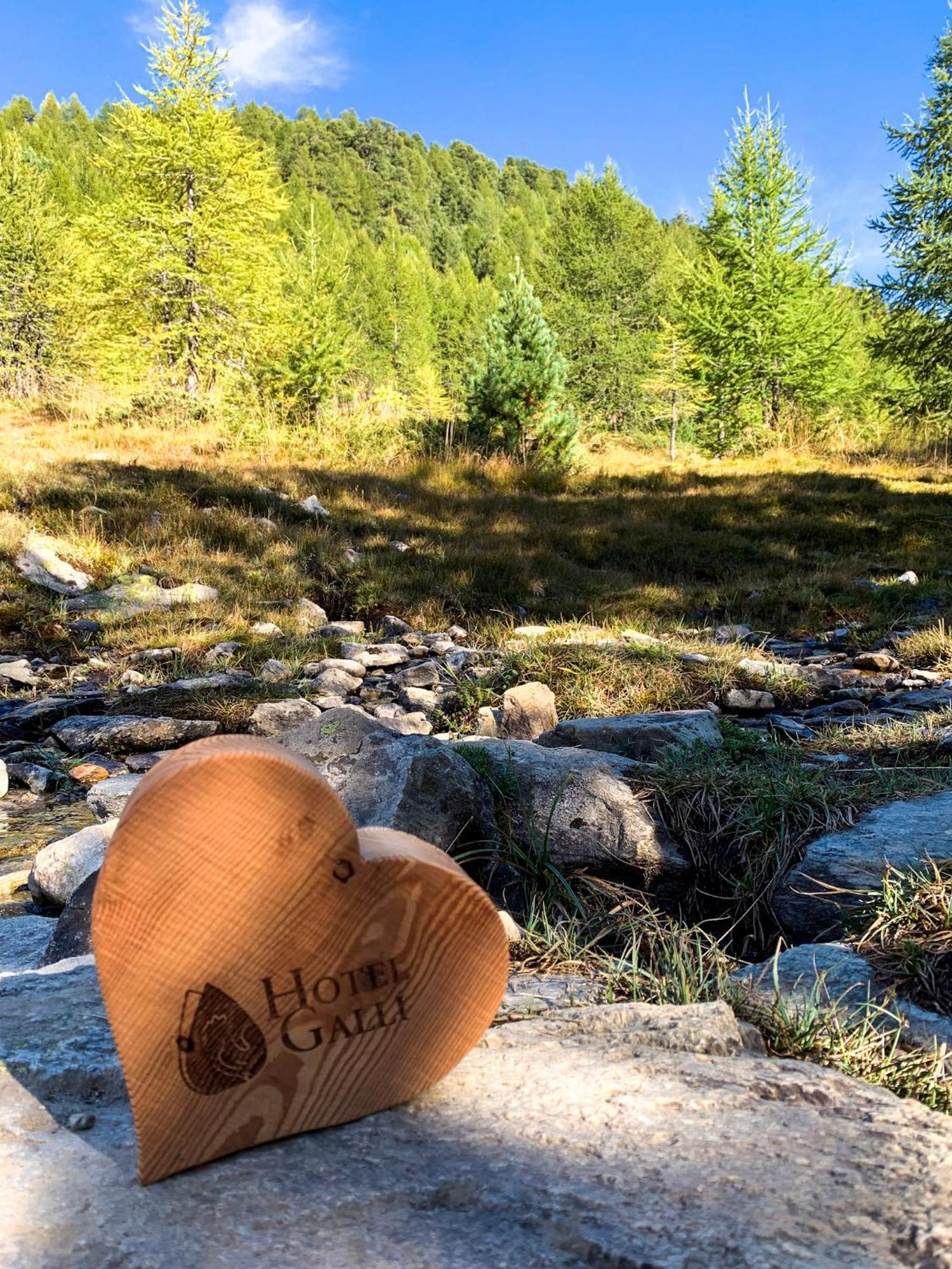 Hotel Galli Livigno Ngoại thất bức ảnh